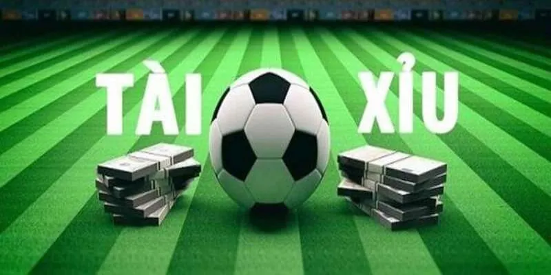 Cách Cá Độ Bóng Đá Tài Xỉu Để Dễ Thắng Nhất Hiện Nay Các hình thức đặt cược Tài Xỉu phổ biến