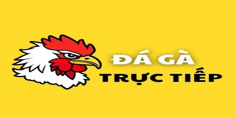 Đá Gà Trực Tiếp Typhu88 - Nền Tảng Cá Cược Hấp Dẫn da-ga-truc-tiep-1-1