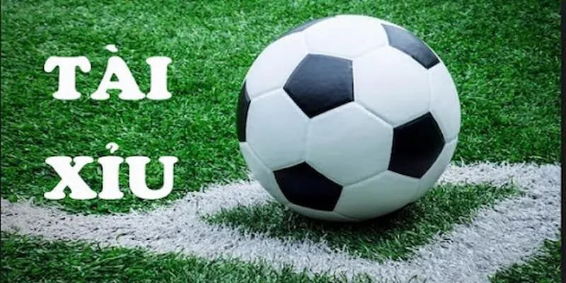 Kinh Nghiệm Đọc Kèo Tài Xỉu Hay Trong Các Trận Đấu Cách đọc kèo tài xỉu một cách chuẩn xác